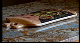 Pantheon Longboard Deck: Nexus DT 36 Boards- Edge Boardshop