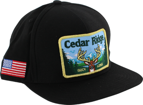 SKATE MENTAL CEDAR RIDGE HAT ADJ-BLK